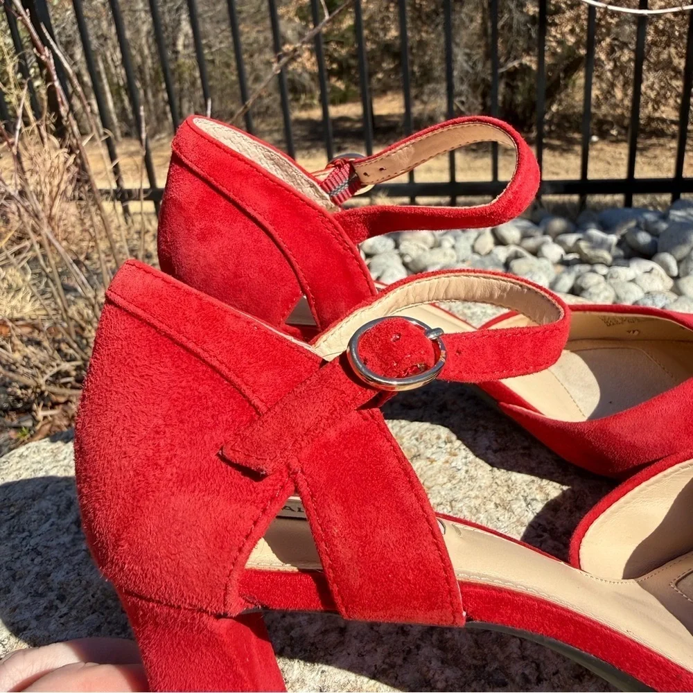 Alex Marie Womens Red Suede Ankle Strap Block Heel Pointed Toe Pumps Size 7M